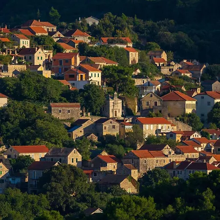 Holiday home My Dalmatia - Authentic Fisola With Private Infinity Pool And Sea View *