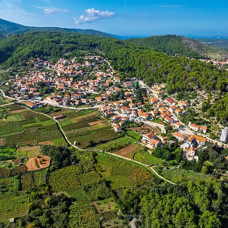 My Dalmatia - Authentic Fisola With Private Infinity Pool And Sea View Holiday home