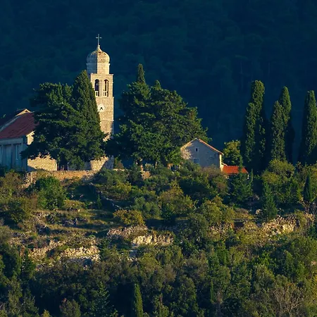 My Dalmatia - Authentic Fisola With Private Infinity Pool And Sea View Holiday home Svirce