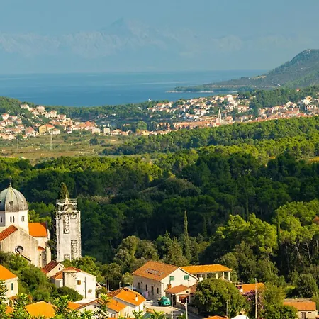 My Dalmatia - Authentic Fisola With Private Infinity Pool And Sea View * Svirce