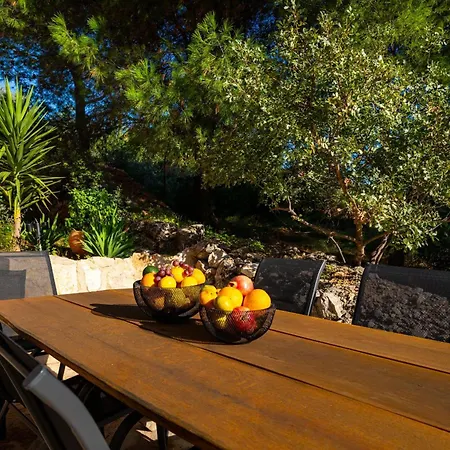My Dalmatia - Authentic Fisola With Private Infinity Pool And Sea View בית נופש Svirce