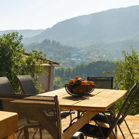 My Dalmatia - Authentic Fisola With Private Infinity Pool And Sea View Holiday home Svirce